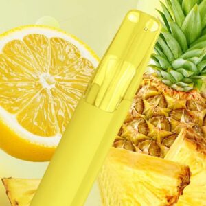 Taste Boosted DASH Lemon Pineapple – Navigation Guide [strict-source:31429c8f3b559b64]