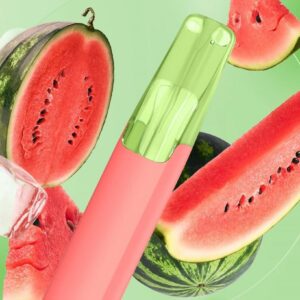 Taste Boosted DASH Lush Ice – Navigation Guide [strict-source:4497149c255b6e20]