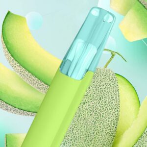 Taste Boosted DASH Sweet Honeydew – Navigation Guide [strict-source:90f019055f3123f5]